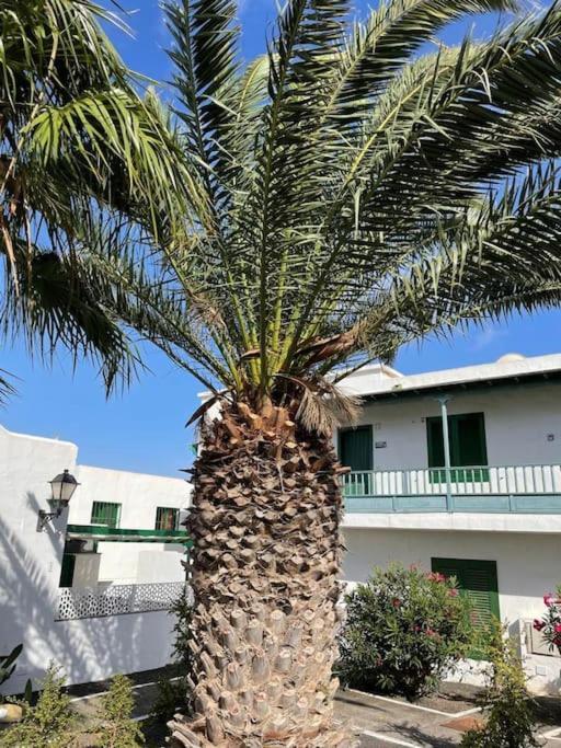 Apartamento Amura En Playa De Las Cucharas كوستا تاغيسي المظهر الخارجي الصورة